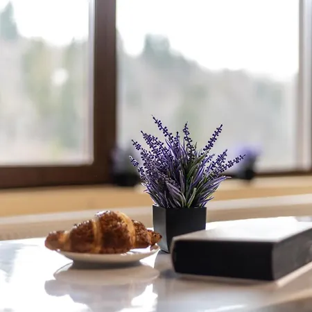 Lavanda Club Hotel *