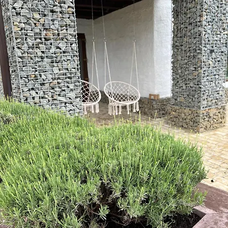Lavanda Club