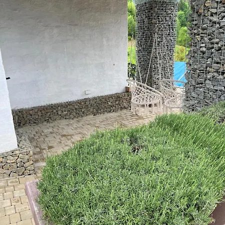 Lavanda Club